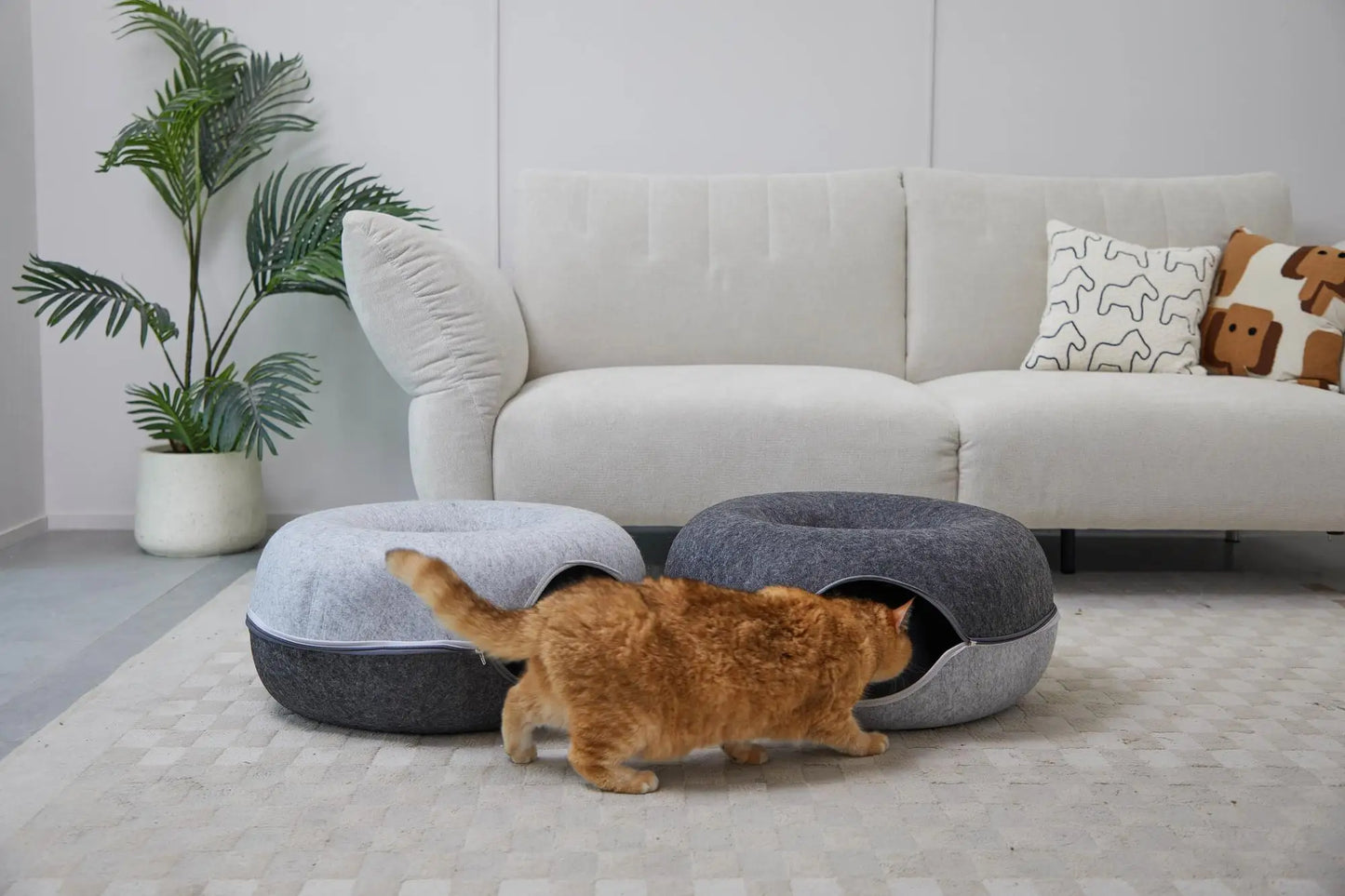 Hexagon Cat Tunnel Bed And Cave For Multiple Cats Playful