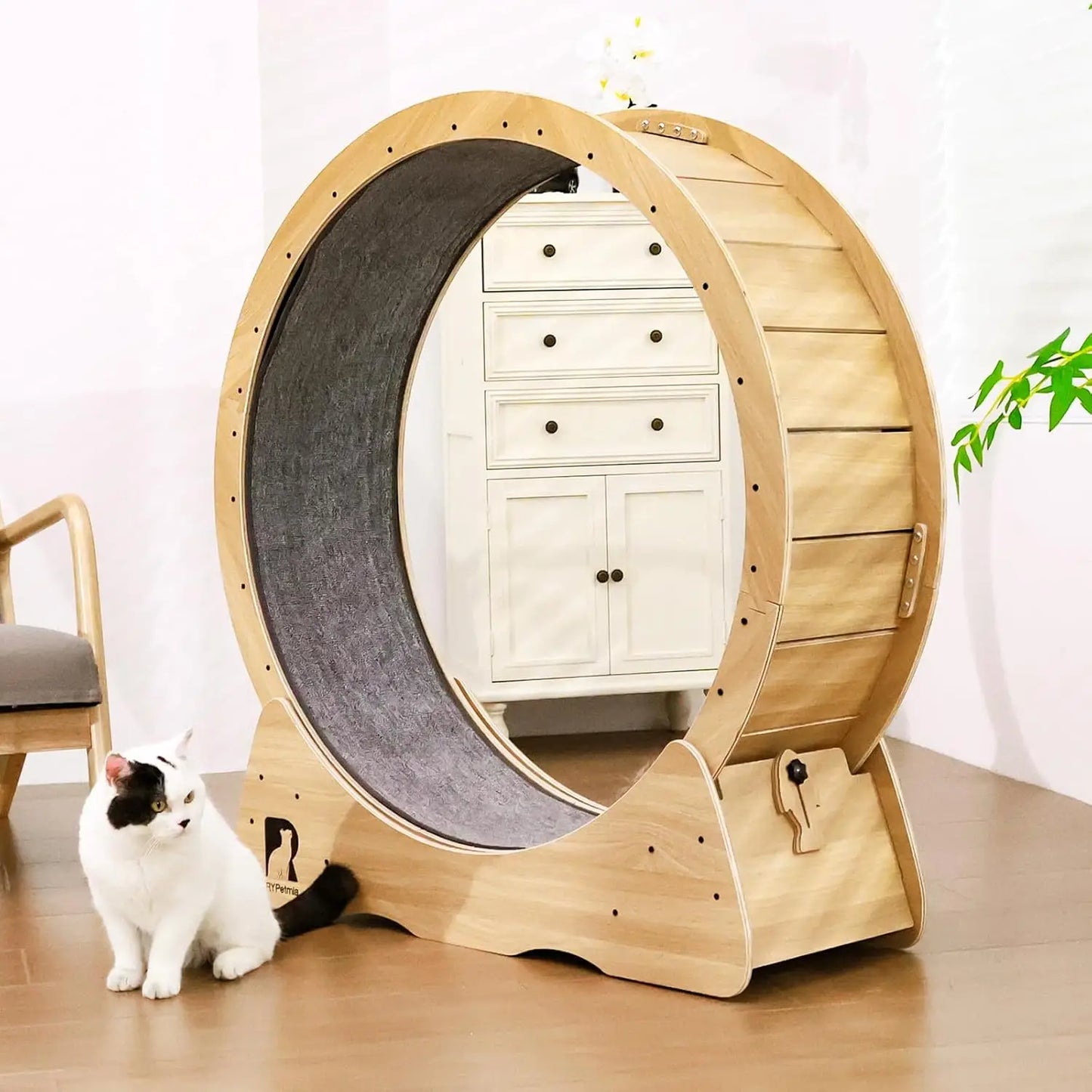 Cat Exercise Wheel Indoor Running Wheel With Safety Lock