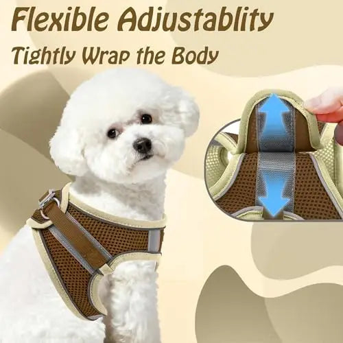 YTYIN Adjustable Dog Harness And Leash Set Padded Vest