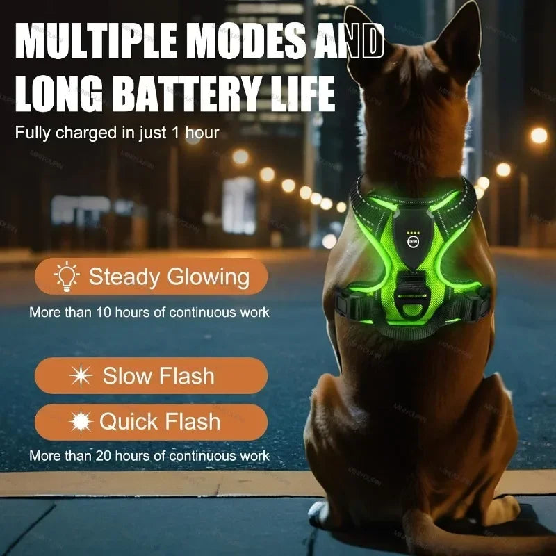 Led Luminous Dog Harness No Pull Adjustable Rechargeable Vest Outdoor