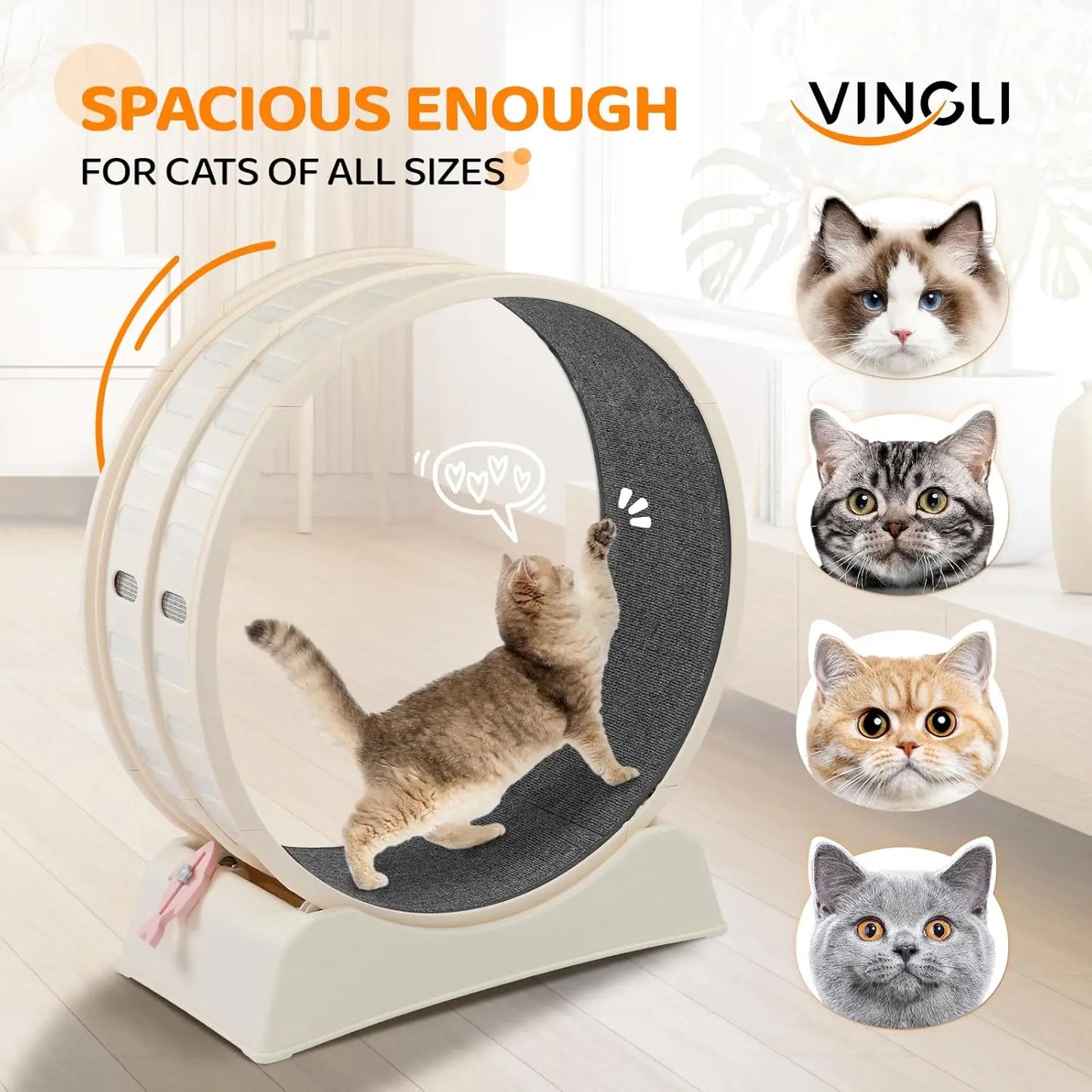 Cat Exercise Wheel Indoor Treadmill For Weight Loss Carpeted Runway