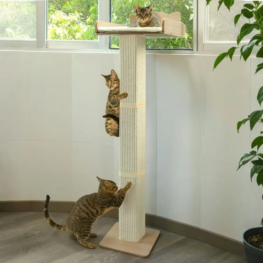 XMSJ Window Cat Perch With Adjustable Sisal Scratching Post Hammock