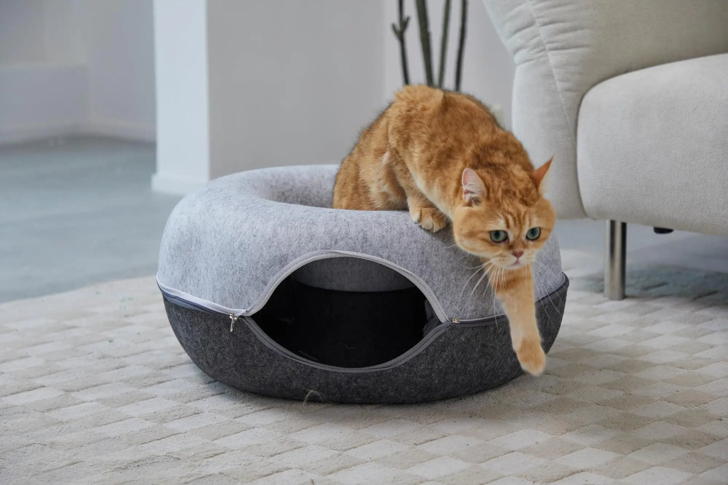 Hexagon Cat Tunnel Bed And Cave For Multiple Cats Playful
