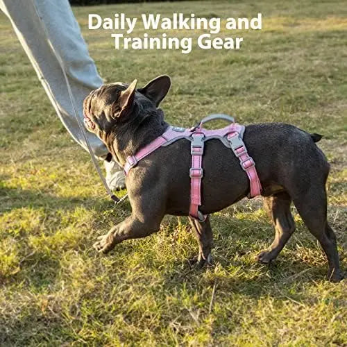 XMSJ Escape Proof Dog Harness With Reflective Lift Handle