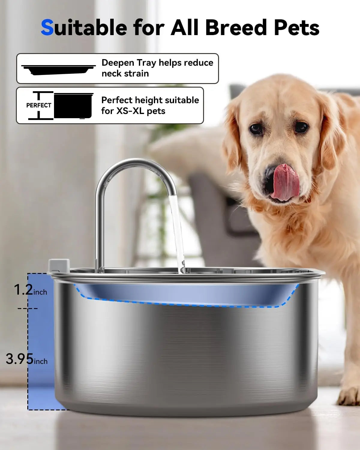 Stainless Steel Pet Fountain With Tray Quiet Pump Water Window