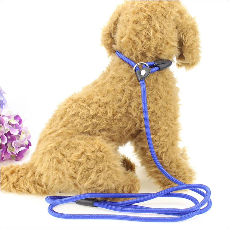 YTYINCN Nylon Dog Leash Adjustable Training Lead For Pets