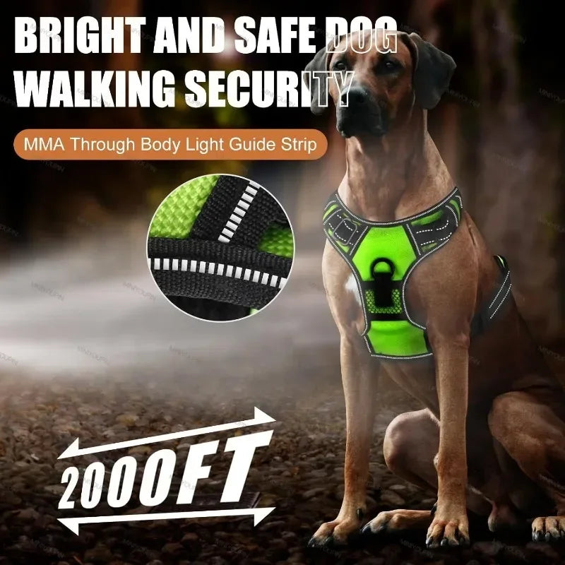 Led Luminous Dog Harness No Pull Adjustable Rechargeable Vest Outdoor