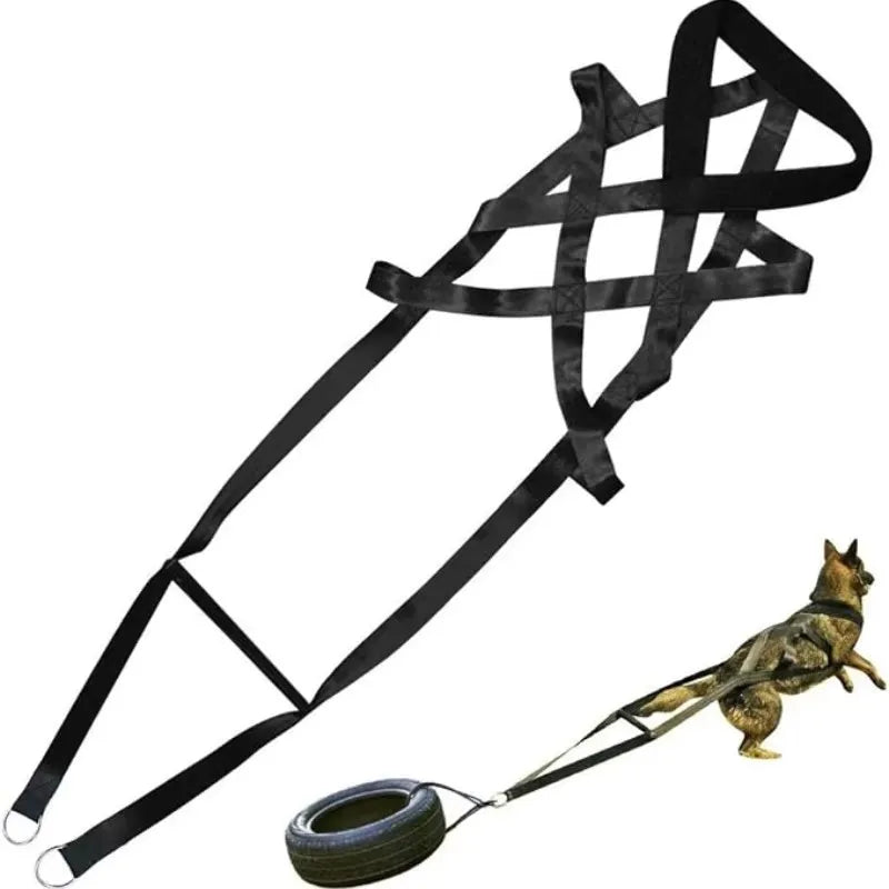Durable Working Dog Training Leash Sled Belt For Enthusiasts