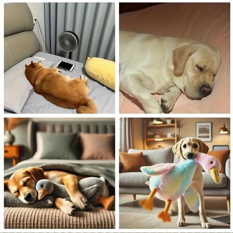 Soft Colorful Duck Plush Toy for Cats and Dogs Companion