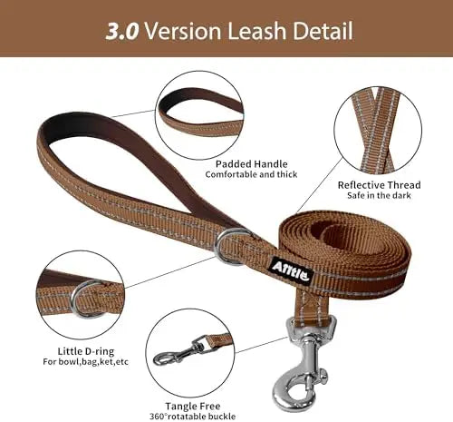 YTYIN Adjustable Dog Harness And Leash Set Padded Vest