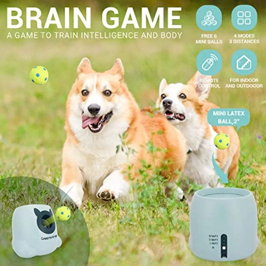Automatic Dog Ball Launcher Fetch Machine With 6 Latex Balls