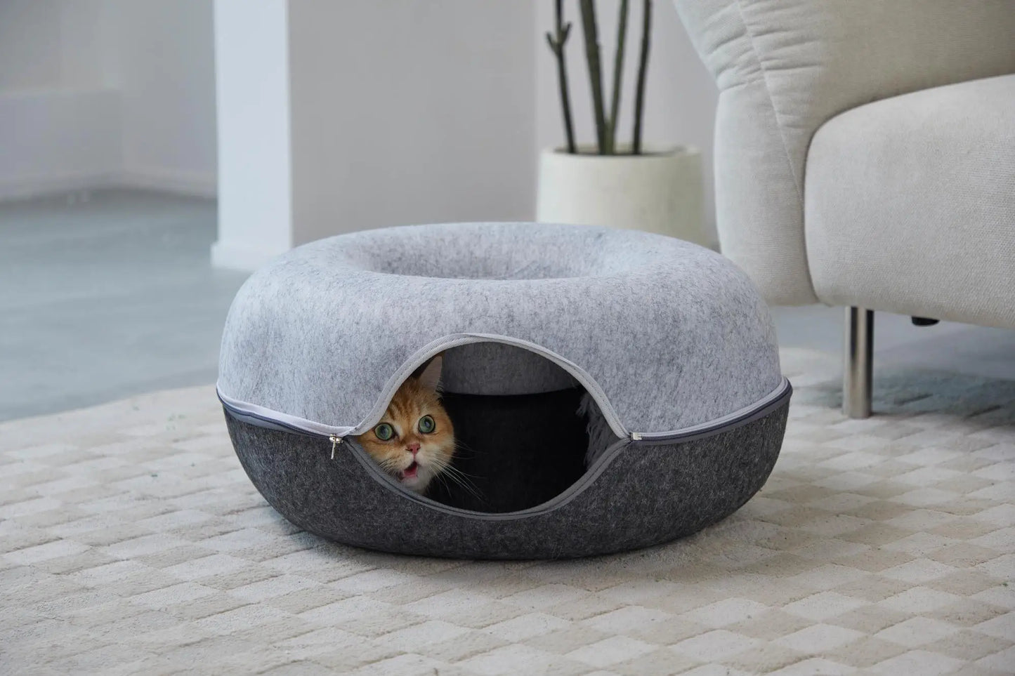 Hexagon Cat Tunnel Bed And Cave For Multiple Cats Playful