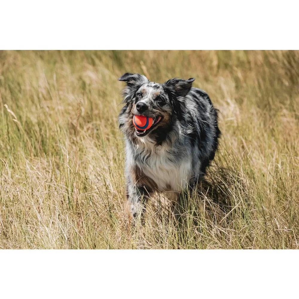 Ultra Bouncy Floating Rubber Dog Ball for Active Fetch Fun