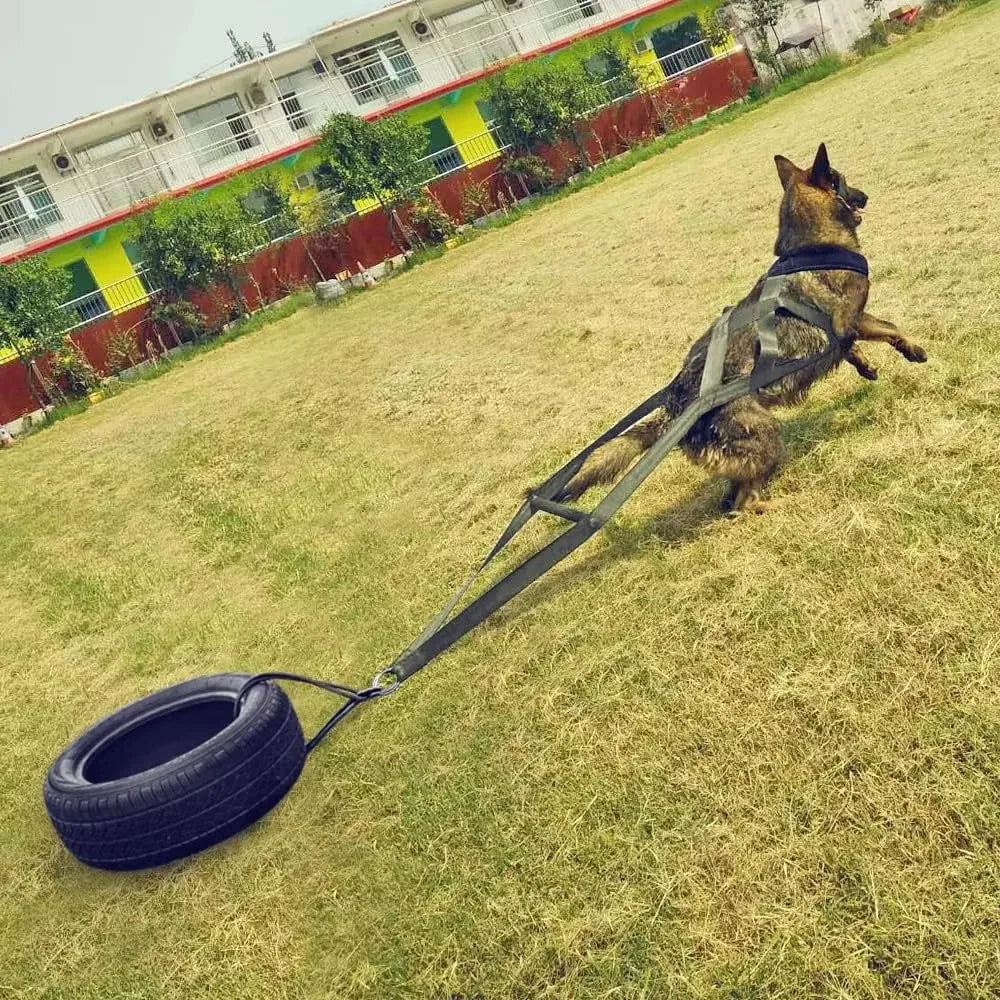 Durable Working Dog Training Leash Sled Belt For Enthusiasts