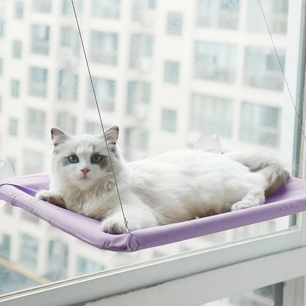 Cat Hammock Window Hanger Detachable Pet Bed With Suction Shelf