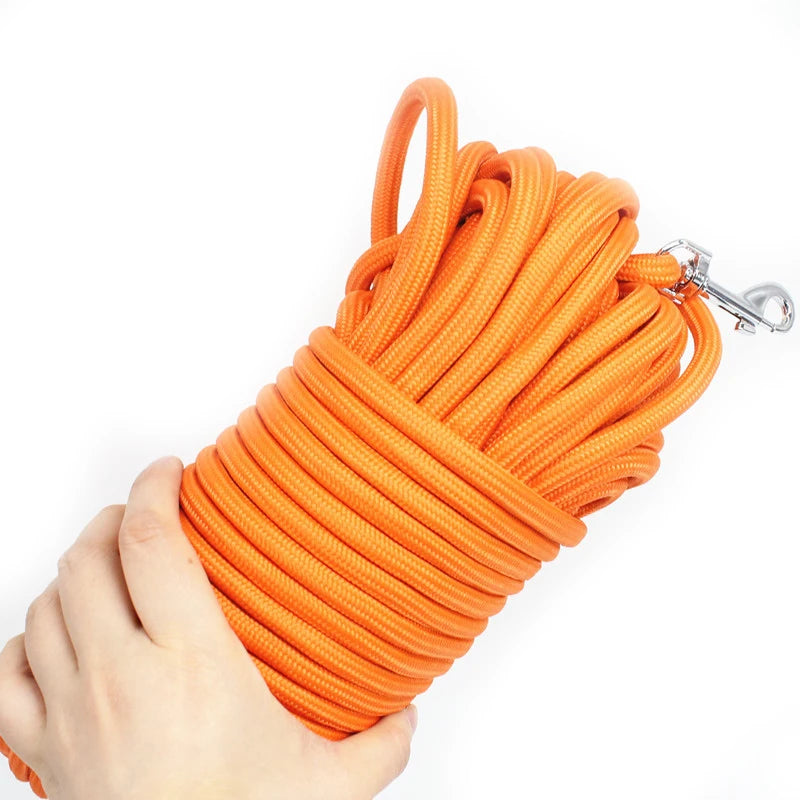 Heavy Duty Nylon Rope Dog Leash for Training and Recall