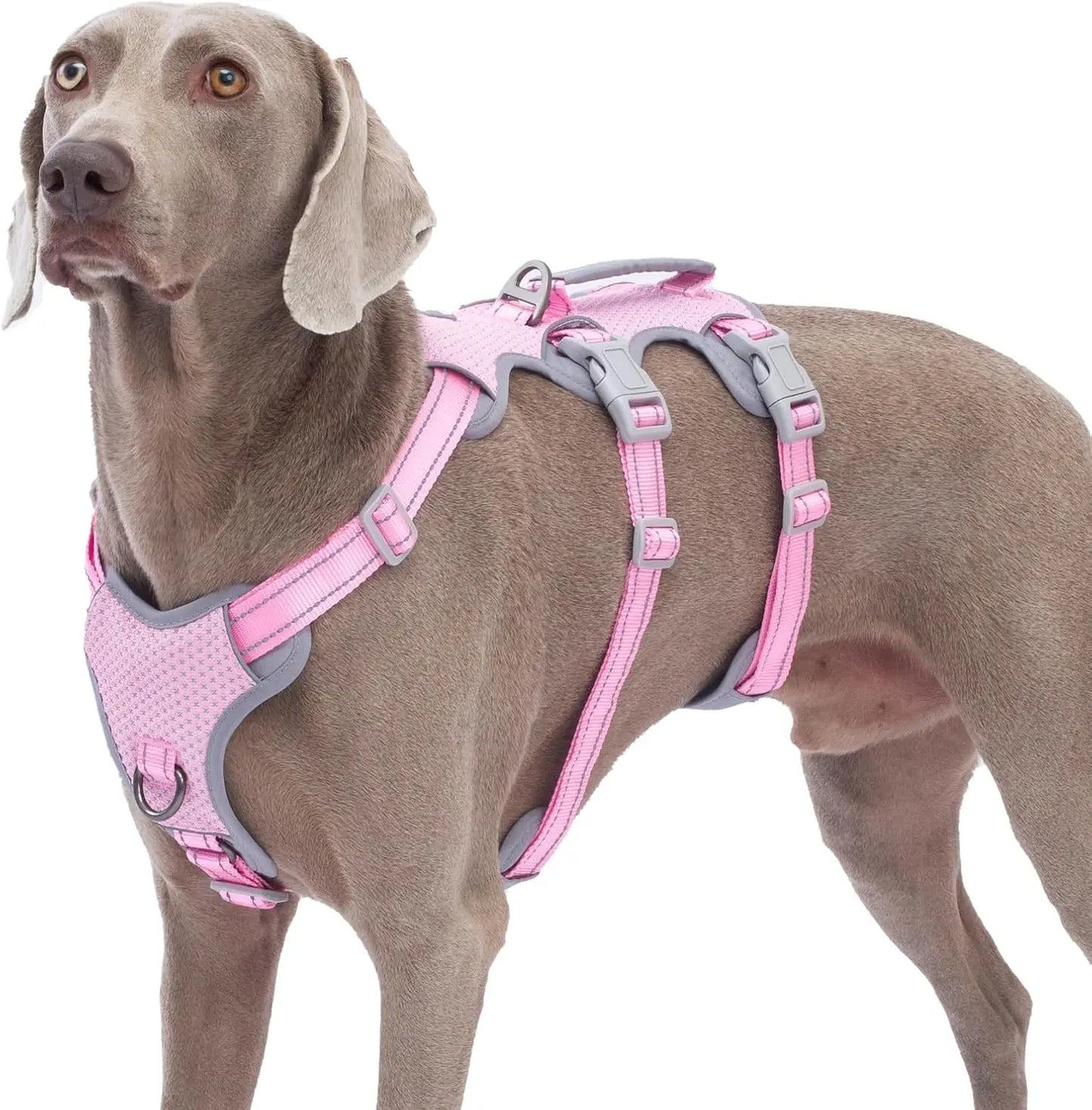 XMSJ Escape Proof Dog Harness With Reflective Lift Handle
