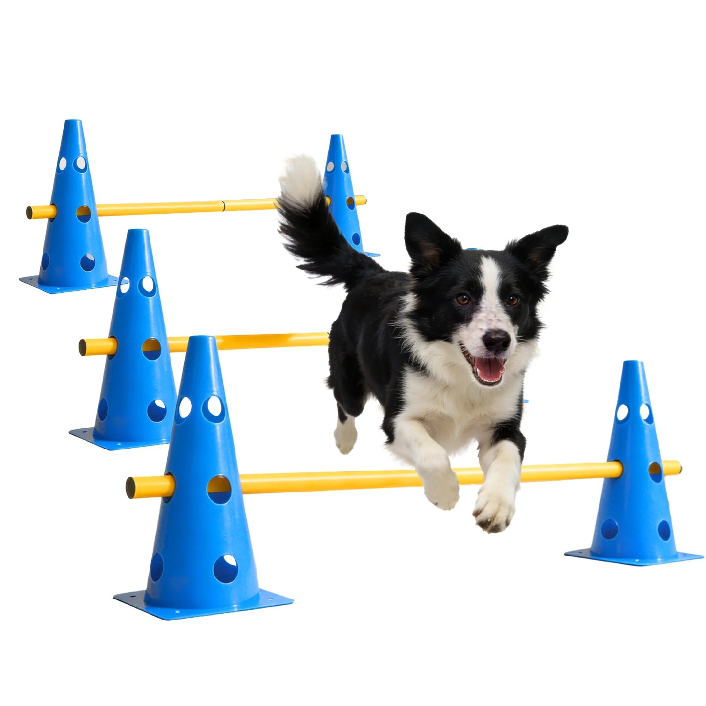 GIMARS Dog Agility Training Set With Hurdles And Marker Tube