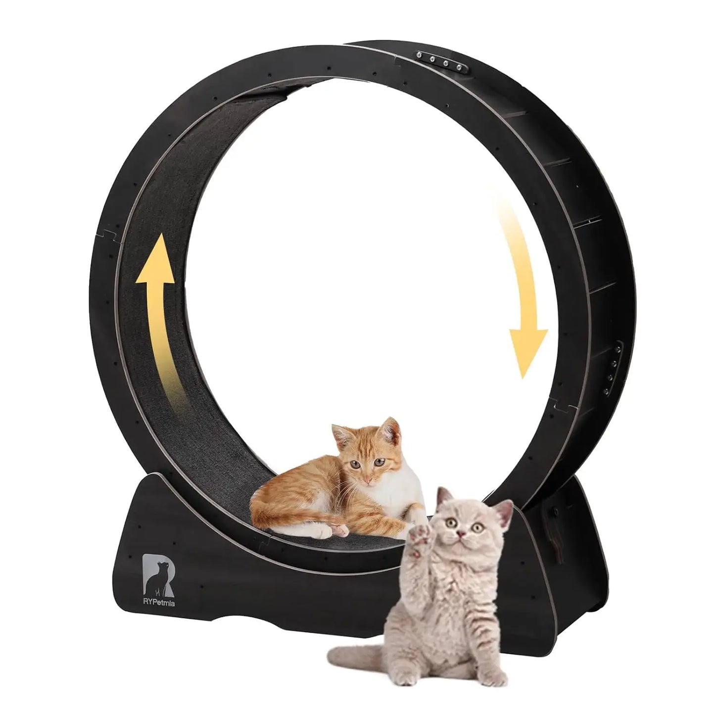 Cat Exercise Wheel Indoor Running Wheel With Safety Lock