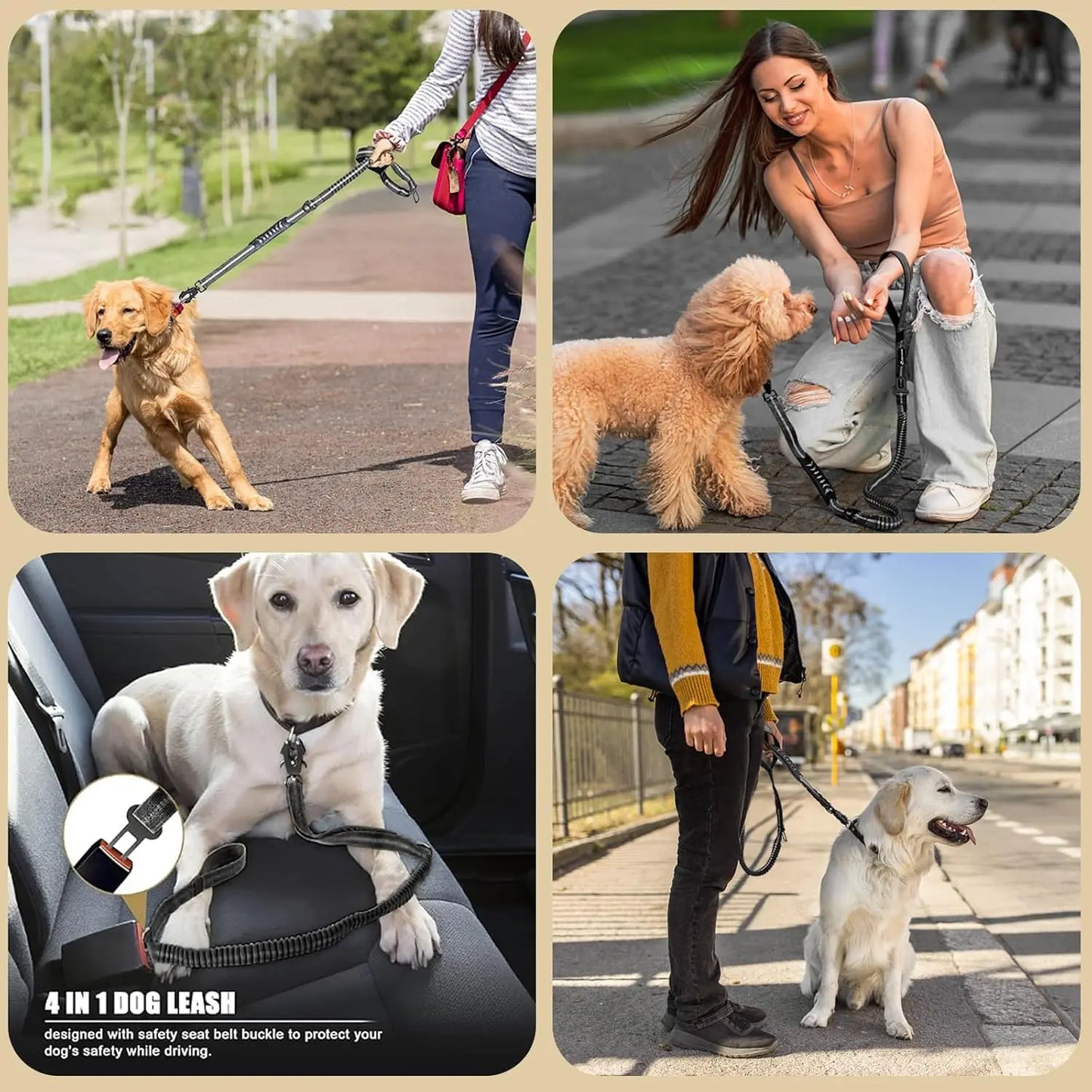 Reflective Shock Absorbing Bungee Dog Leash Car Seatbelt Large Dogs