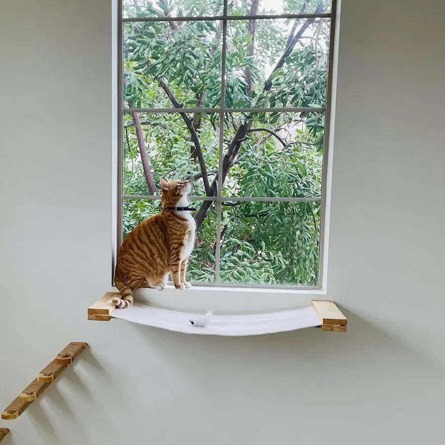 XMSJ Cat Wall Shelf Hammock Kitten Window Perch Easy Install