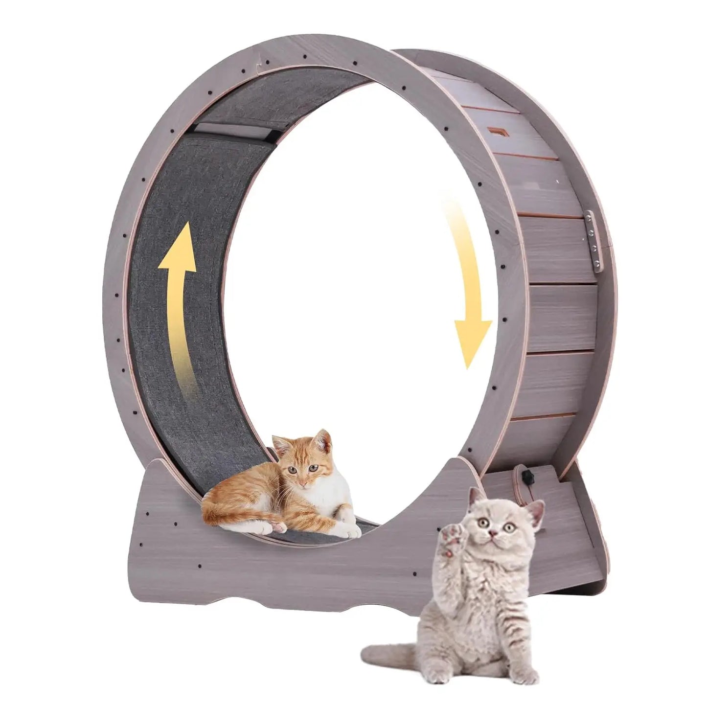 Cat Exercise Wheel Indoor Running Wheel With Safety Lock