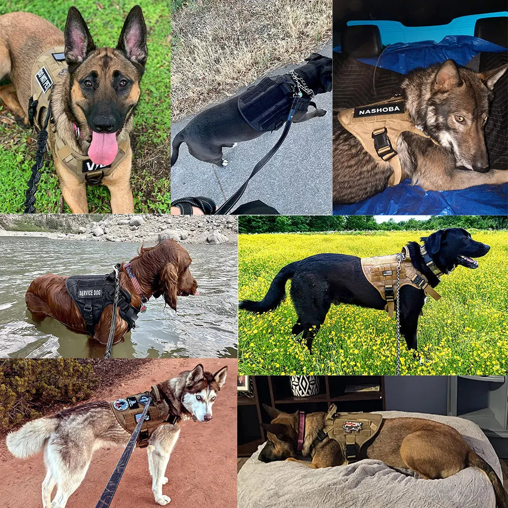 Petravel Military Dog Harness Vest For Malinois Training