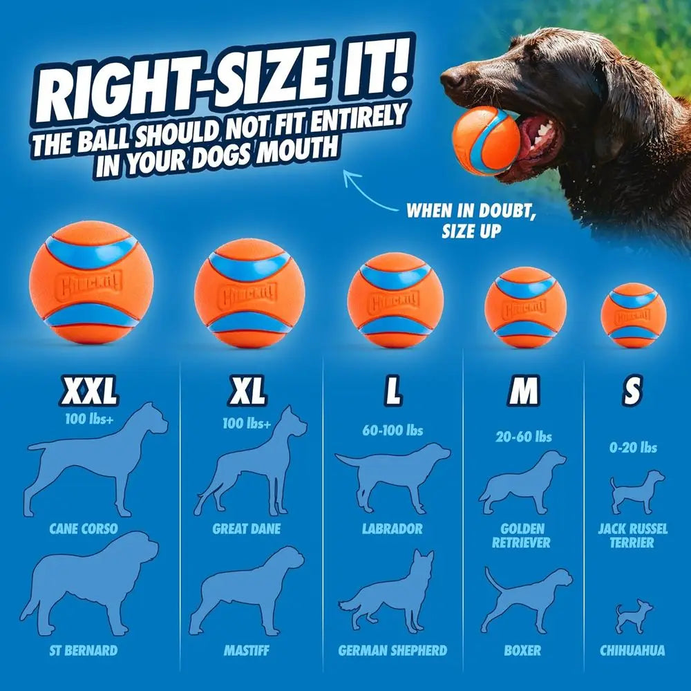 Ultra Durable Rubber Ball For Dogs High Bounce Floats Toy