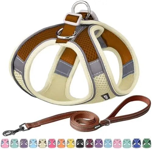 YTYIN Adjustable Dog Harness And Leash Set Padded Vest