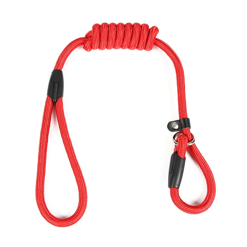 YTYINCN Nylon Dog Leash Adjustable Training Lead For Pets