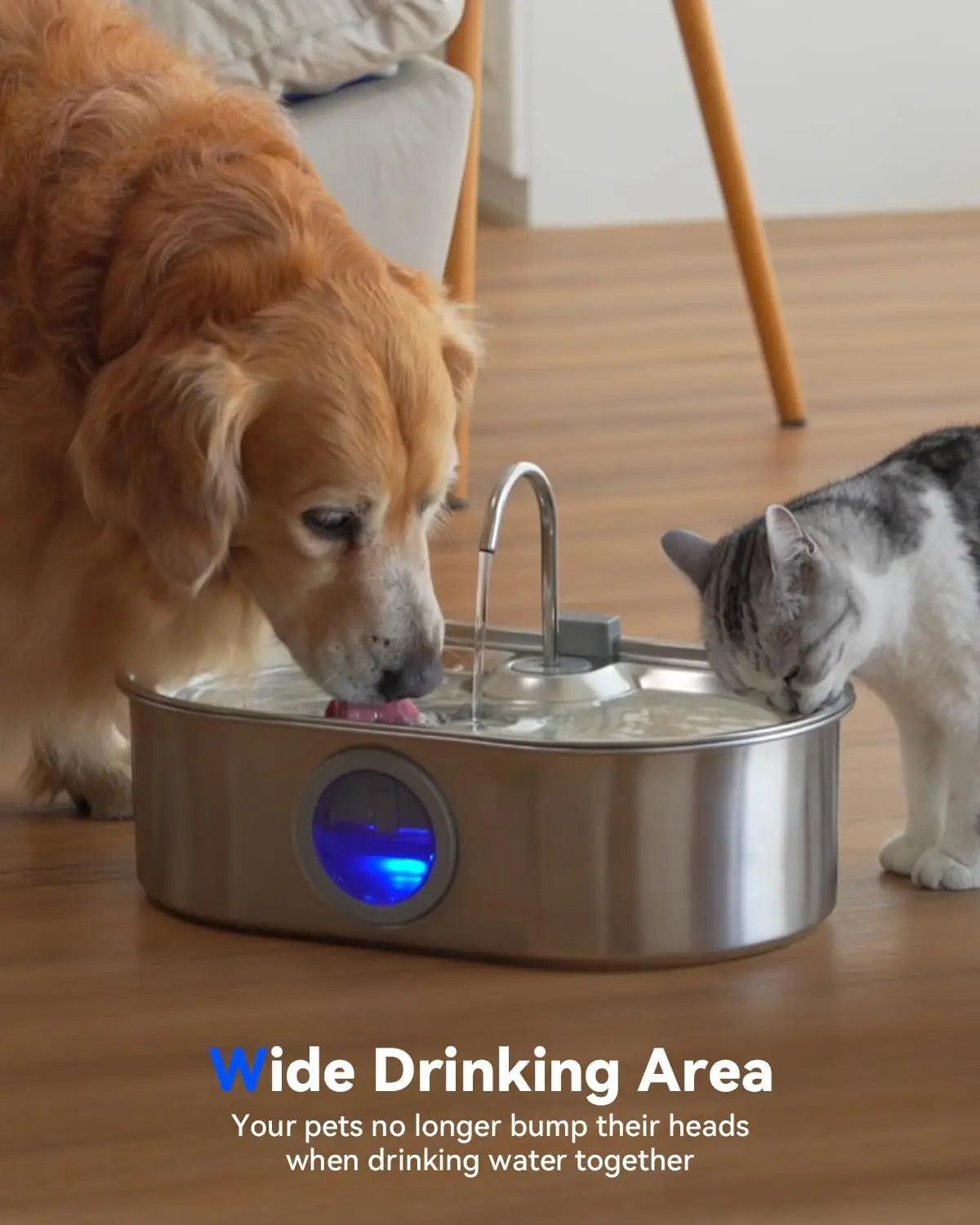 Stainless Steel Pet Fountain With Tray Quiet Pump Water Window