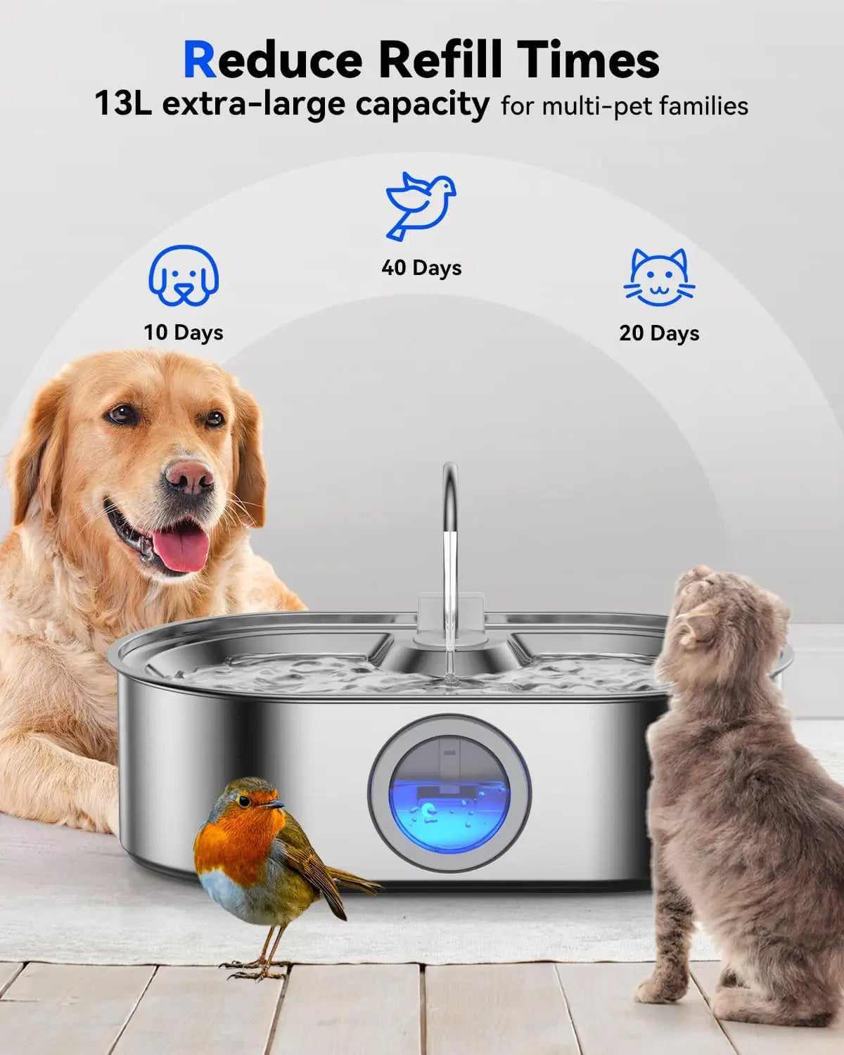 Stainless Steel Pet Fountain With Tray Quiet Pump Water Window