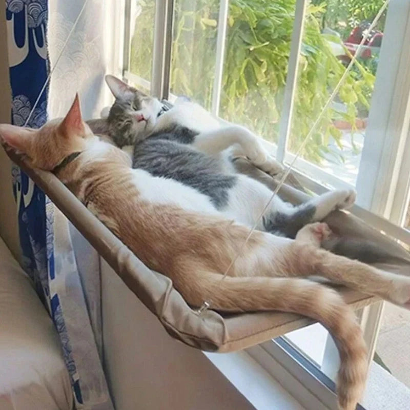 Cat Hammock Window Hanger Detachable Pet Bed With Suction Shelf