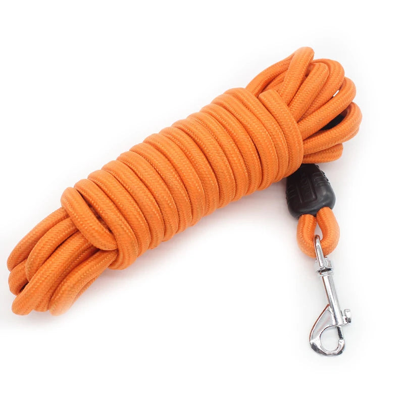 Heavy Duty Nylon Rope Dog Leash for Training and Recall
